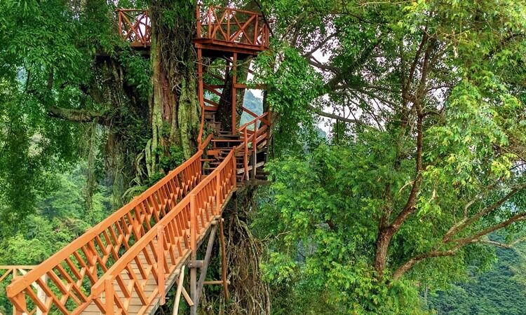 Rumah Pohon & Jembatan Kayu Curug Ciherang Jonggol